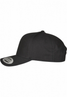 6-Panel Curved Metal Snap