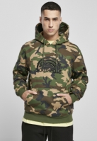 Southpole 3D Embroidery Hoody