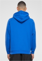 Blank Hoody