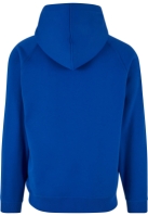 Blank Hoody