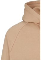 Blank Hoody