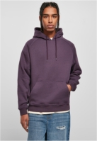 Blank Hoody