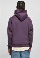 Blank Hoody