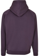Blank Hoody