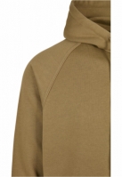 Blank Hoody
