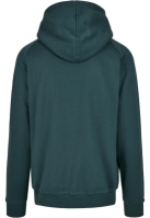 Blank Hoody