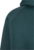 Blank Hoody