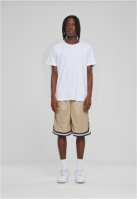Stripes Mesh Shorts