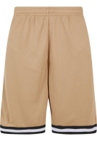 Stripes Mesh Shorts