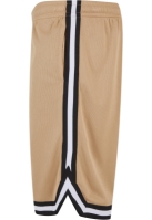 Stripes Mesh Shorts