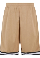 Stripes Mesh Shorts