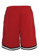 Stripes Mesh Shorts