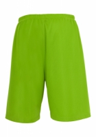 Bball Mesh Shorts