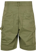 Carpenter Shorts