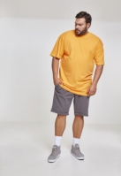 Stretch Turnup Chino Shorts