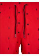 Embroidery Swim Shorts