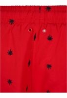 Embroidery Swim Shorts