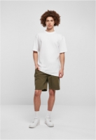 Southpole Twill Shorts
