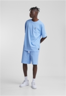 Starter Essentials Heavy Shorts