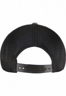110 Mesh 2-Tone Cap
