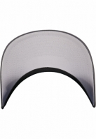 110 Mesh Cap