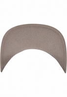 Organic Cotton Snapback