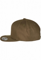 Organic Cotton Snapback