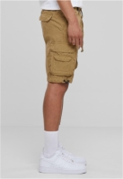 Double Pocket Cargo Shorts