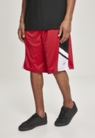 Basketball Mesh Shorts