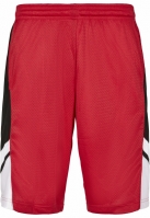 Basketball Mesh Shorts