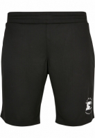 Starter Team Mesh Shorts