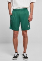 Starter Team Mesh Shorts