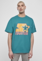 Starter Colored Logo Tee